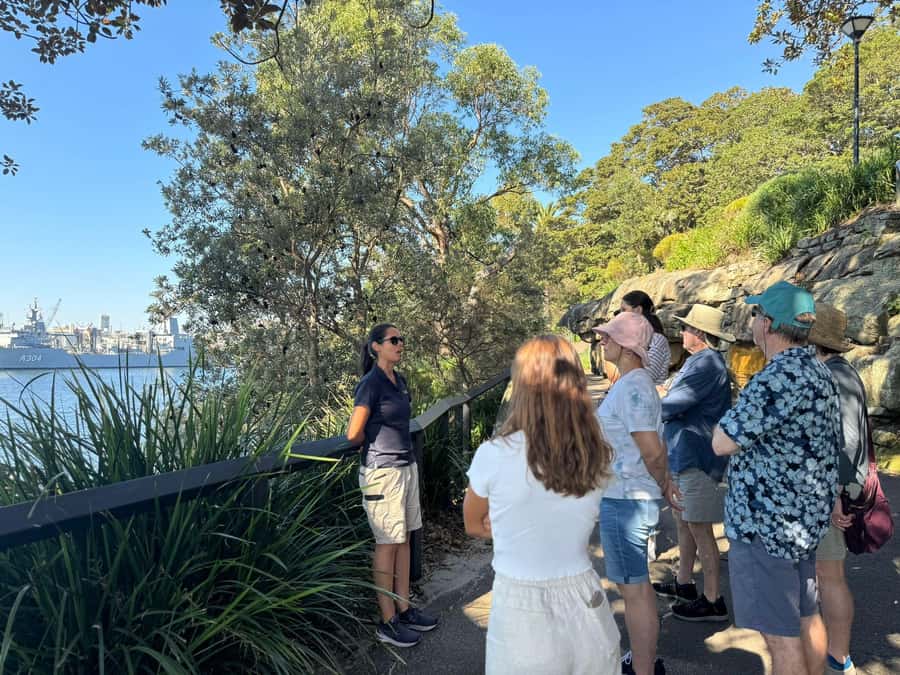 1/2 day Sydney Sightseeing and Bondi Beach Tour - Centennial Park, Paddington, and Rose Bay