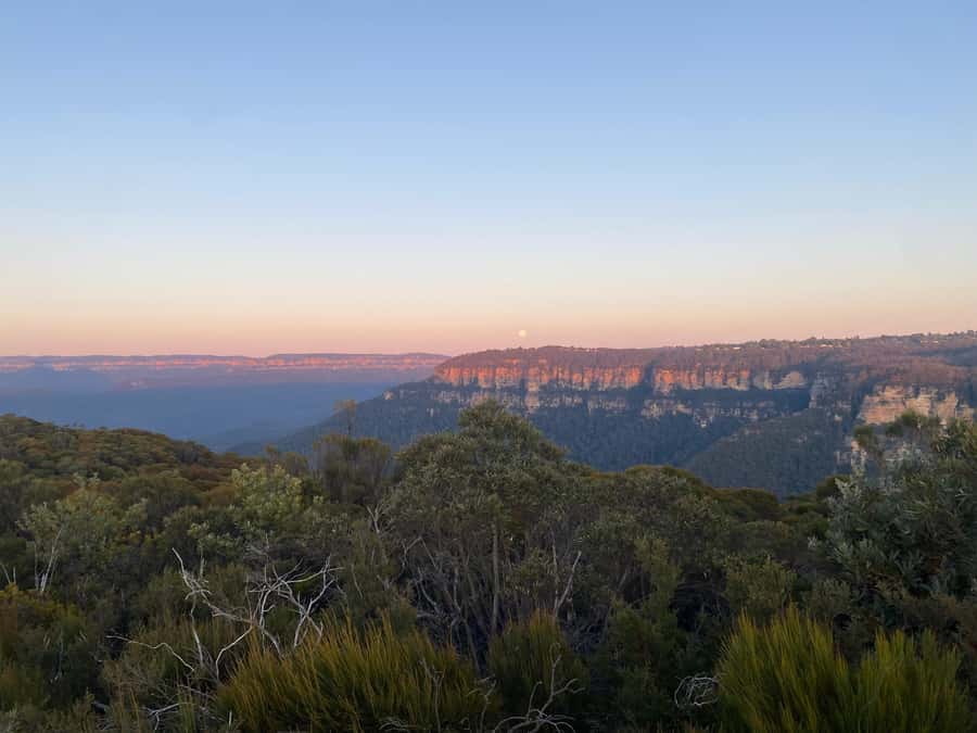 #1 Blue Mountains Tour Scenic World Waterfalls Wildlife Park - Lunch in a scenic setting