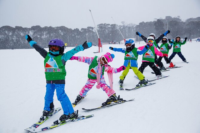 1 Day Perisher Snow Tour - Key points before you book