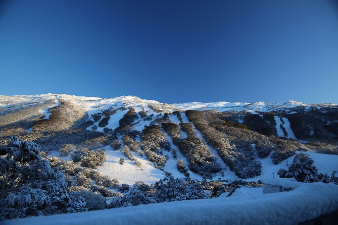 1 Day Thredbo Snow Tour - What the $121.21 fare really covers