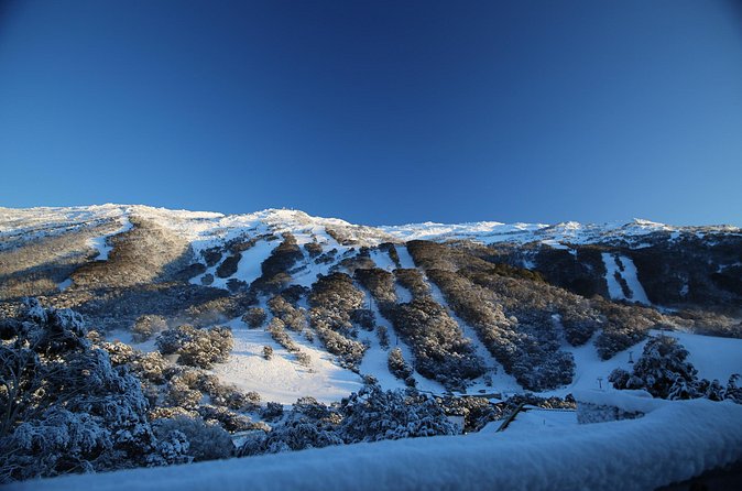 1 Day Thredbo Snow Tour - A closer look at the day’s rhythm
