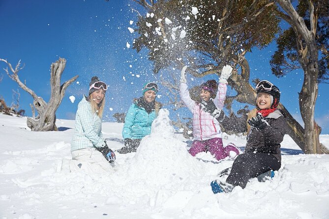 1 Day Thredbo Snow Tour From Sydney - Who should book this snow tour