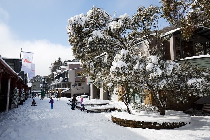1 Day Thredbo Snow Tour From Sydney - Practical ways to make the day easier