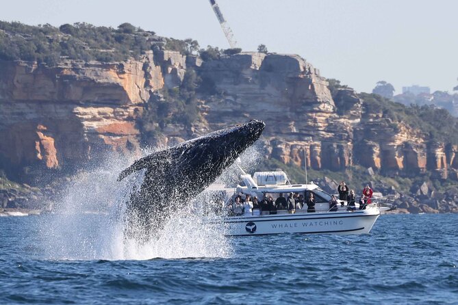 1 Hour Jet Ski Safari - Who will enjoy this most