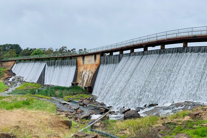 1 Hour Trike Tour for 2 in Mount and Lake Canobolas - Mount Canobolas State Conservation Area and the summit