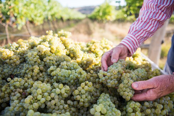 1 Hour Wine tasting at Ross Hill Wines in Orange NSW - How the tasting works