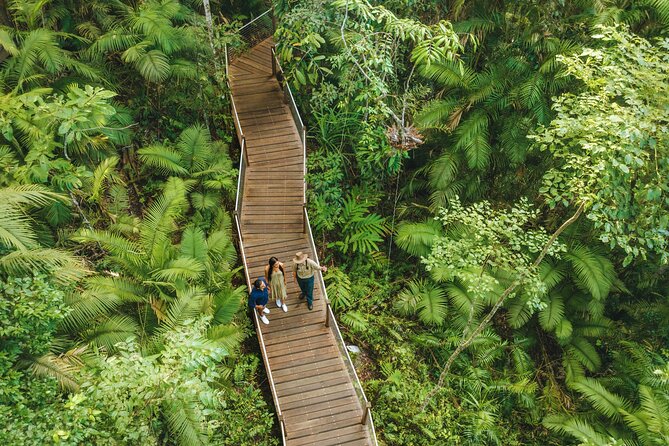 14 Day Tour from Sydney to Cairns Fraser Island and Whitsundays - Port Macquarie puts conservation on the schedule