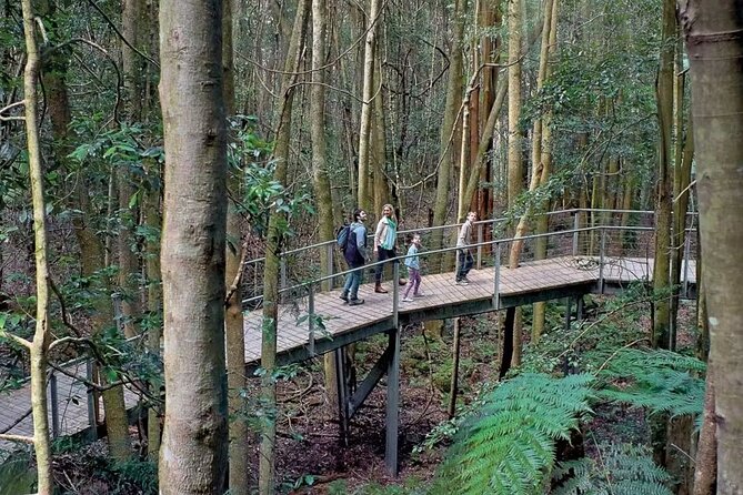 3 Day Private Tour in Blue Mountains and Kiama in Sydney City - Fitzroy Falls and the road through Kangaroo Valley