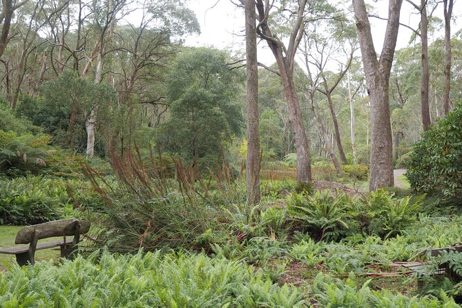3 Day Scenic Tour of Blue Mountains from Sydney - What the $852.09 price really covers