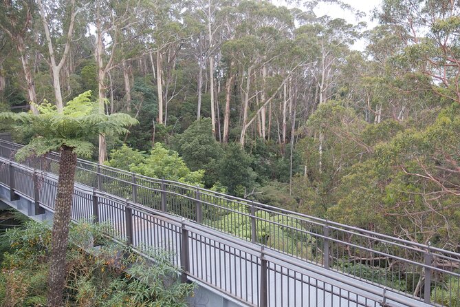 3 Day Scenic Tour of Blue Mountains from Sydney - Small-group comfort, pace, and practical planning