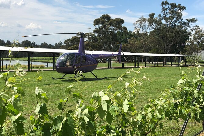 3 Hour Helicopter Wine Tasting Tour in Hunter Valley - Key points to know before booking