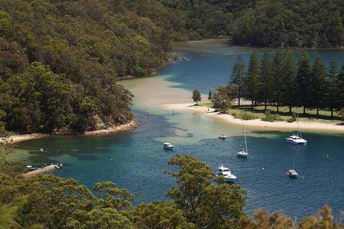 3-Hour Private Skippered Sailing Yacht Charter in Palm Beach - Broken Bay, West Head, and Lion Island