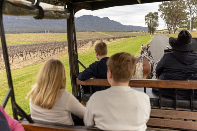 3- Hour Wine and Harvest the Hunter Horse Tour in Pokolbin - Why the carriage ride changes the Hunter Valley day