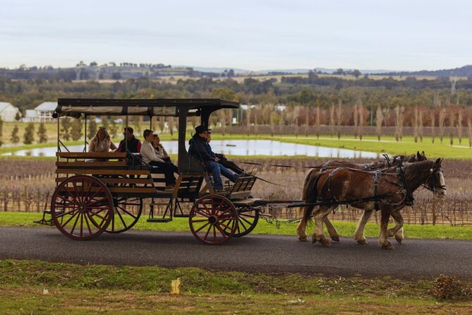 3- Hour Wine and Harvest the Hunter Horse Tour in Pokolbin - Who will enjoy it most?