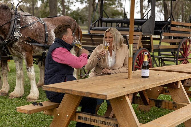 3- Hour Wine and Harvest the Hunter Horse Tour in Pokolbin - Starting at 426 McDonalds Road