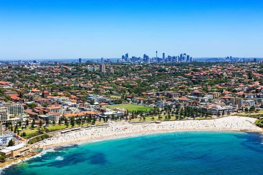 30 Minute Shared Sydney Harbour Scenic Helicopter Tour - Booking details worth checking before you pay