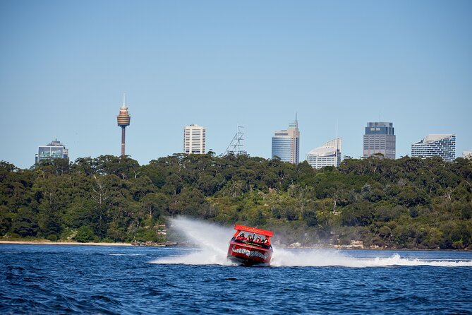 30-Minute Sydney Harbour Jet Boat Thrill Ride - Fort Denison, the navy fleet, and wider harbour views