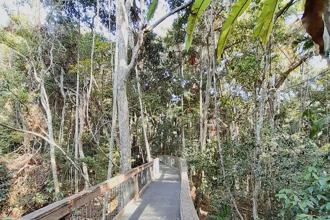 4-Day Private Coastal Escape from Sydney to Mid North Coast - Why this private Sydney coastal trip works