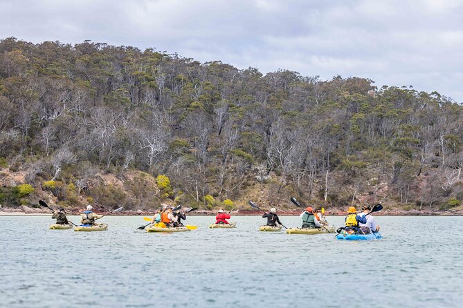 4 Hour Aboriginal Culture Tour Kayaking Pambula River - Why this Pambula River tour feels different