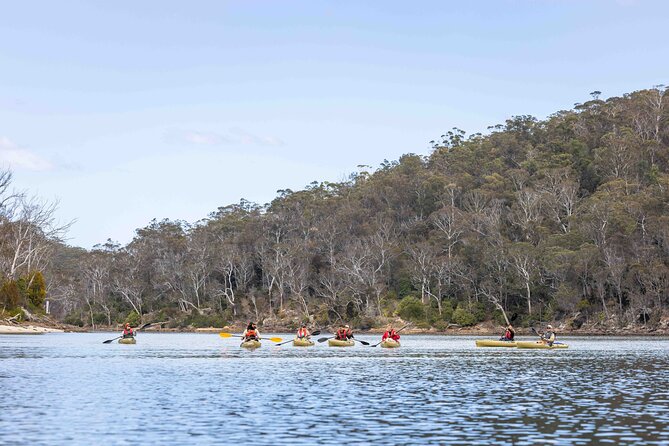 4 Hour Aboriginal Culture Tour Kayaking Pambula River - Severs Beach and a morning tea with local flavor
