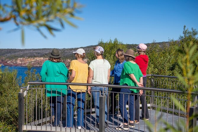 5hr Eden Tour in Nature; Beach, Lookout & National Park - Eden in five hours: a busy but worthwhile coastal sampler