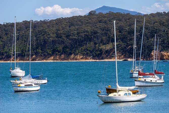 5hr Eden Tour in Nature; Beach, Lookout & National Park - Ben Boyd Tower: a strange and memorable piece of coastal history