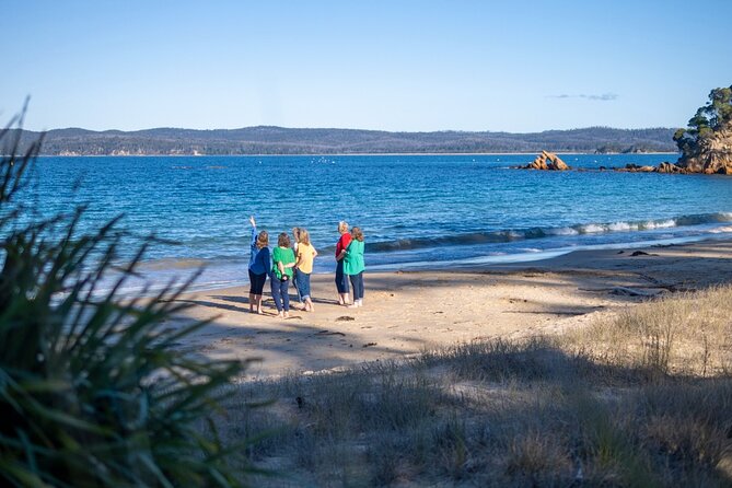 5hr Eden Tour in Nature; Beach, Lookout & National Park - Is the $215.17 price fair?