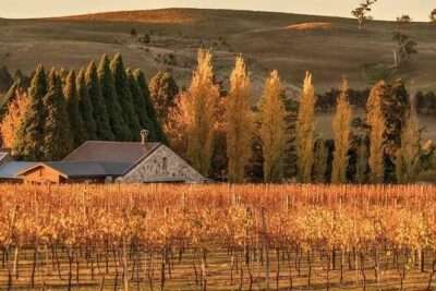 A Day In The Vineyards || Luxury Private Winery Tour From Sydney