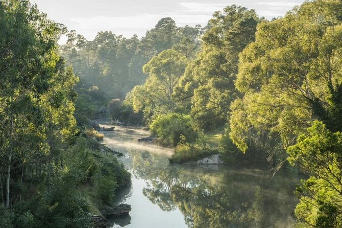 A Day In The Vineyards || Luxury Private Winery Tour From Sydney - Fitzroy Falls brings cool forest air