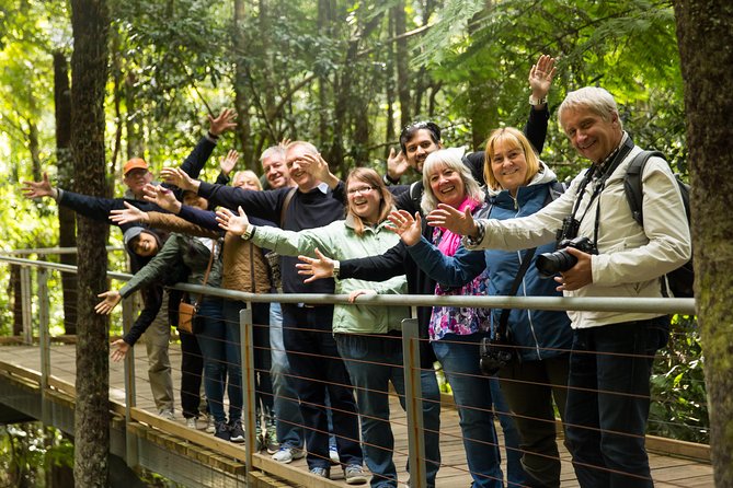 All Inclusive Blue Mountain,Scenic World,Lunch,Koalas,ferry - The Three Sisters and Katoomba Lookouts