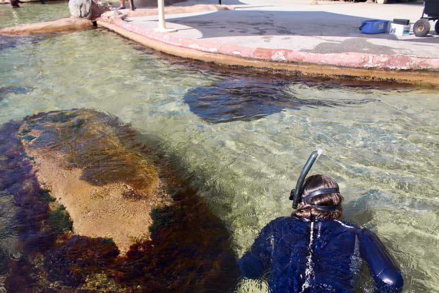 Anna Bay: Irukandji Entry + Coastal Currents Snorkel - The important setting question: natural-style lagoon or aquarium?
