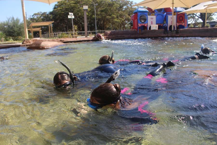 Anna Bay: Irukandji Entry + Coastal Currents Snorkel - Meeting rays, sharks and rock cod