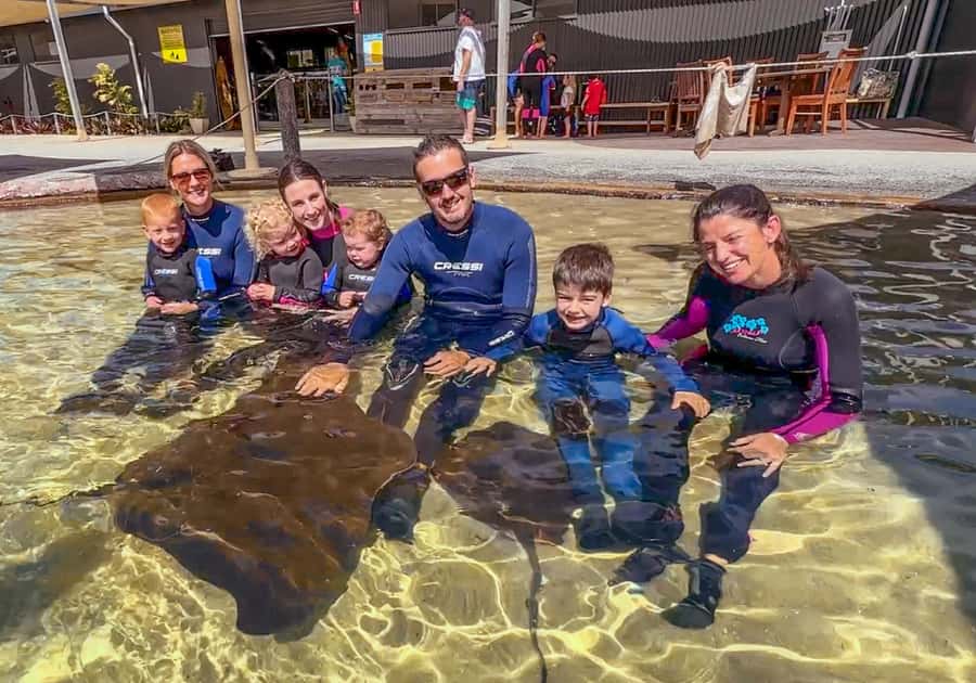 Anna Bay: Irukandji Entry with Zebra Shark Snorkel - Who will enjoy this most?