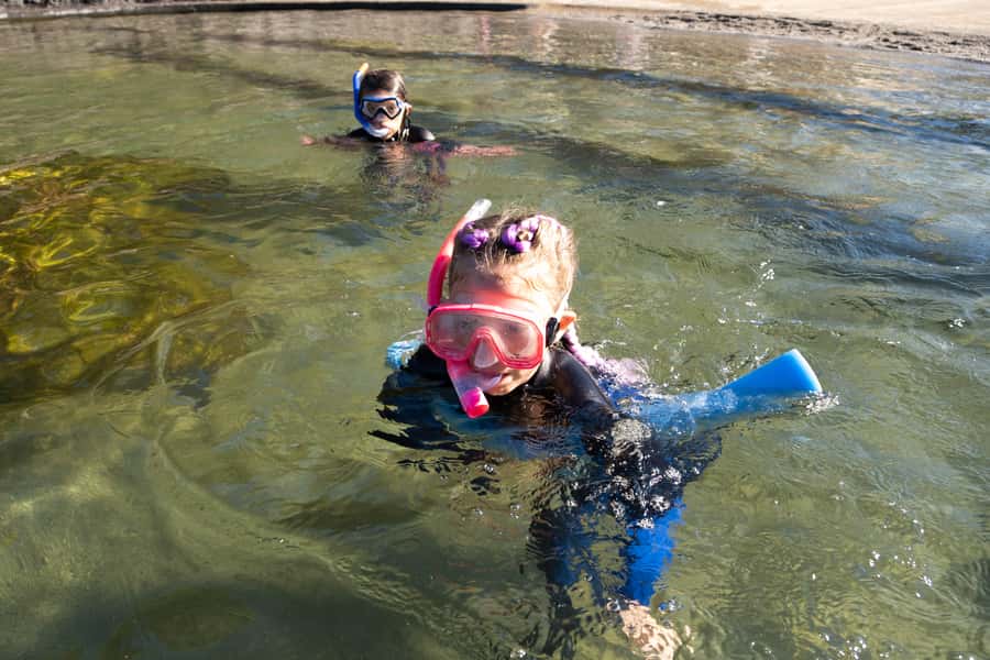 Anna Bay: Irukandji Entry with Zebra Shark Snorkel - Shallow-water feeding with sharks and rays