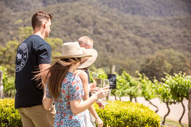 Audrey Wilkinson Vineyard: Picnic with Wine Masterclass Tasting - Practical details that can affect your choice