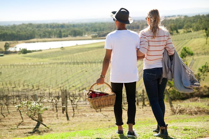 Audrey Wilkinson Vineyard: Picnic with Wine Masterclass Tasting - The museum gives the tasting some context