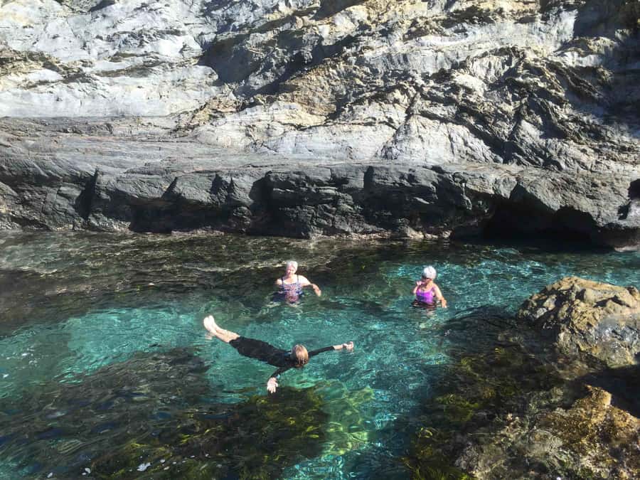 Batemans Bay: Half-Day Sea Kayak Tour - Key points to know before booking