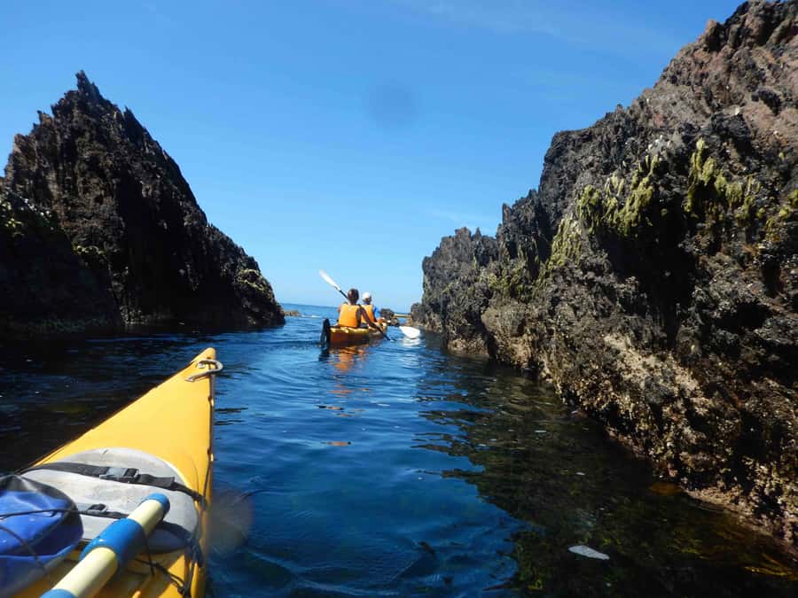 Batemans Bay: Half-Day Sea Kayak Tour - Paddling through protected shores