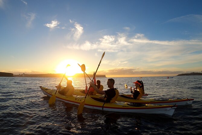 Beautiful Middle Harbour Sunriser / Guided Kayaking Private Tour - Key points to know before booking