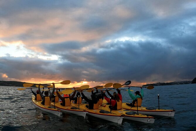 Beautiful Middle Harbour Sunriser / Guided Kayaking Private Tour - Middle Harbour beaches and possible routes