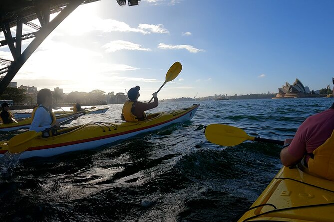 Beautiful Sydney Harbour Breakfast Kayaking Tour - Who Will Enjoy This Morning Most?