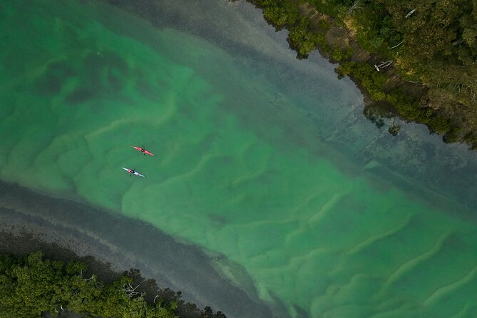 Bermagui River Kayak Tour - A Peaceful Start on the Bermagui River