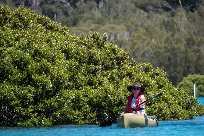 Bermagui River Kayak Tour - The Return Paddle and the Three-Hour Length