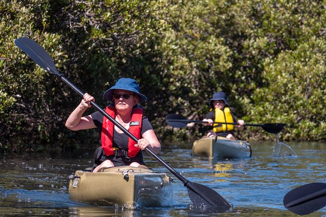 Bermagui River Kayak Tour - What You Get for $143.45