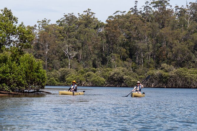 Bermagui River Kayak Tour - Should You Book the Bermagui River Kayak Tour?