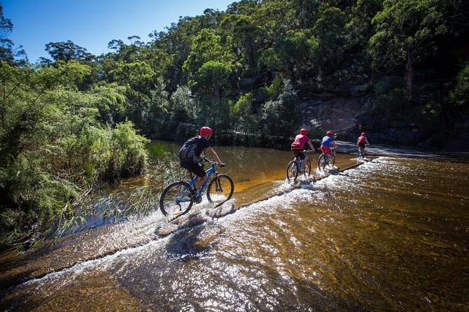 Blue Labyrinth PRIVATE Tour: Sydney Blue Mountains by E-Bike - How private routing changes the experience