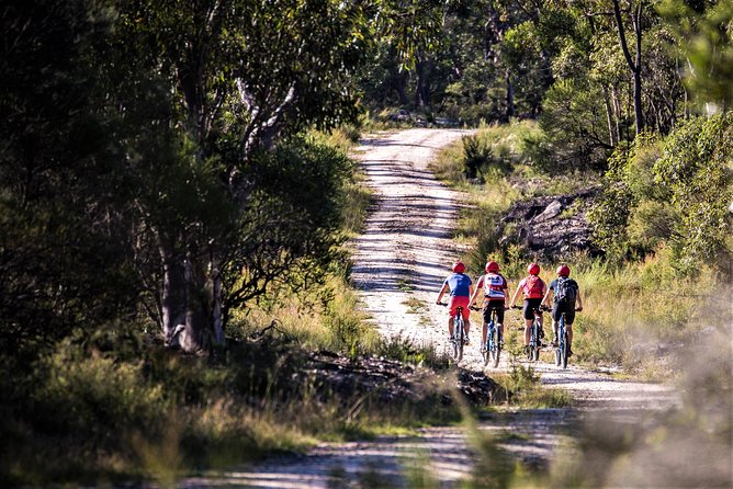 Blue Labyrinth PRIVATE Tour: Sydney Blue Mountains by E-Bike - Is $268.97 per person fair value?