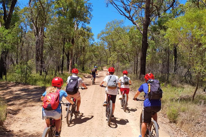 Blue Labyrinth PRIVATE Tour: Sydney Blue Mountains by E-Bike - Riding fire trails through the Blue Labyrinth