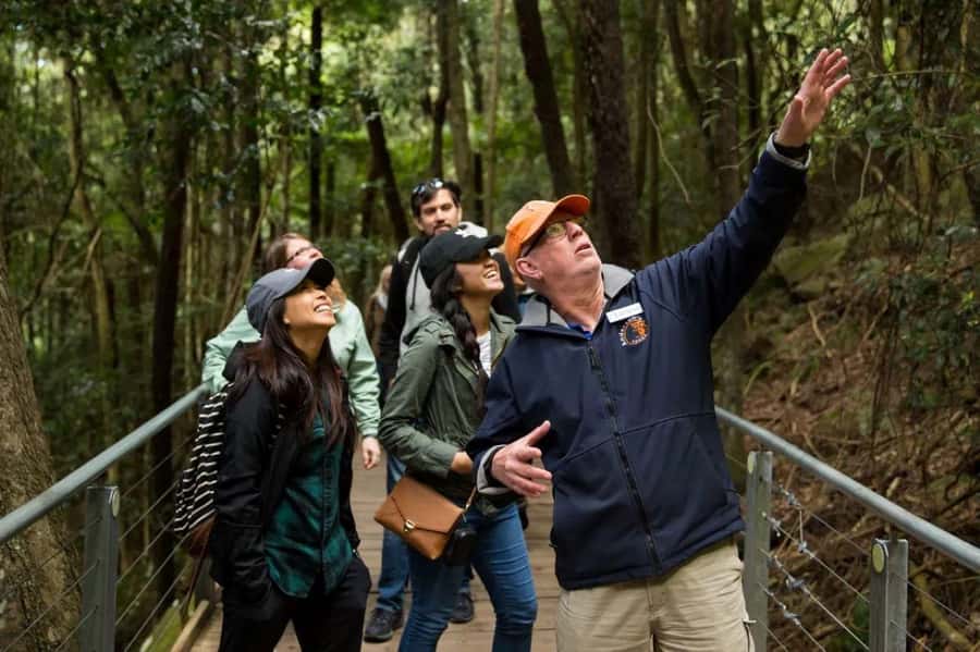Blue Mountain Small Group Scenic World, Wildlife, Waterfall - Scenic World before the crowds