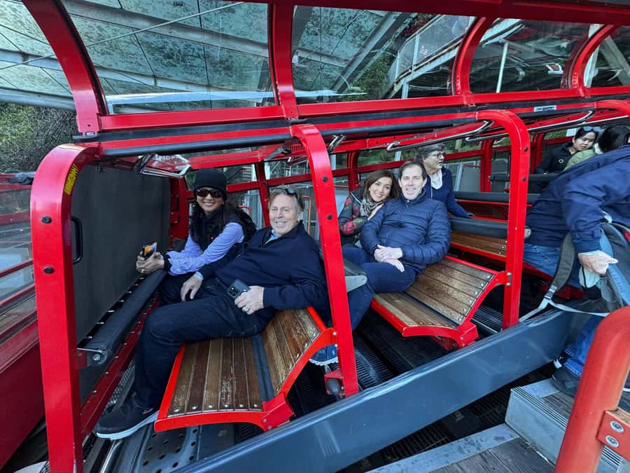 Blue Mountain Small Group Scenic World, Wildlife, Waterfall - Featherdale or Sydney Zoo